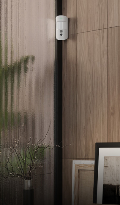 Ajax Motion Detectors